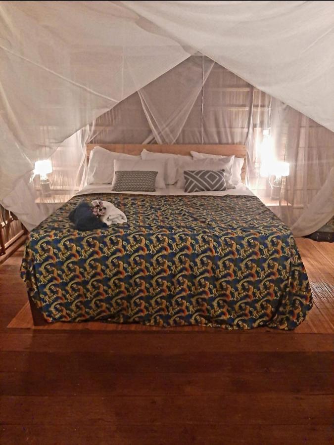 Frances Homestay - Raja Ampat Pulau Mansuar Екстер'єр фото